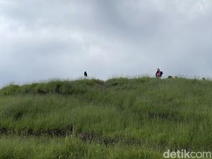 Pesona Gunung Pangradina, Merbabu Van Bandung yang Manjakan Mata