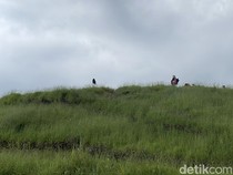 Pesona Gunung Pangradina, Merbabu Van Bandung yang Manjakan Mata