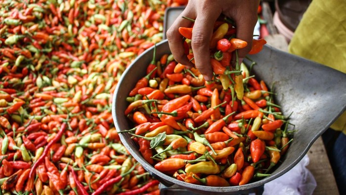 Pedagang menimbang cabai rawit di Pasar Besar Palangka Raya, Kalimantan Tengah, Senin (26/2/2024). Menurut pedagang, harga cabai di pasar tersebut mengalami kenaikan, seperti cabai keriting dari Rp60 ribu menjadi Rp90 ribu per kilogram dan cabai merah besar yang sebelumnya Rp60 menjadi Rp80 ribu per kilogram yang disebabkan kurangnya pasokan. ANTARA FOTO/Auliya Rahman/tom.