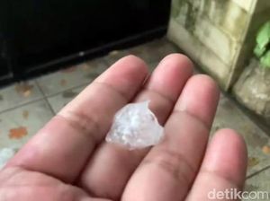 Hujan Es Disertai Angin Membuat Sejumlah Pohon Tumbang di Sidoarjo