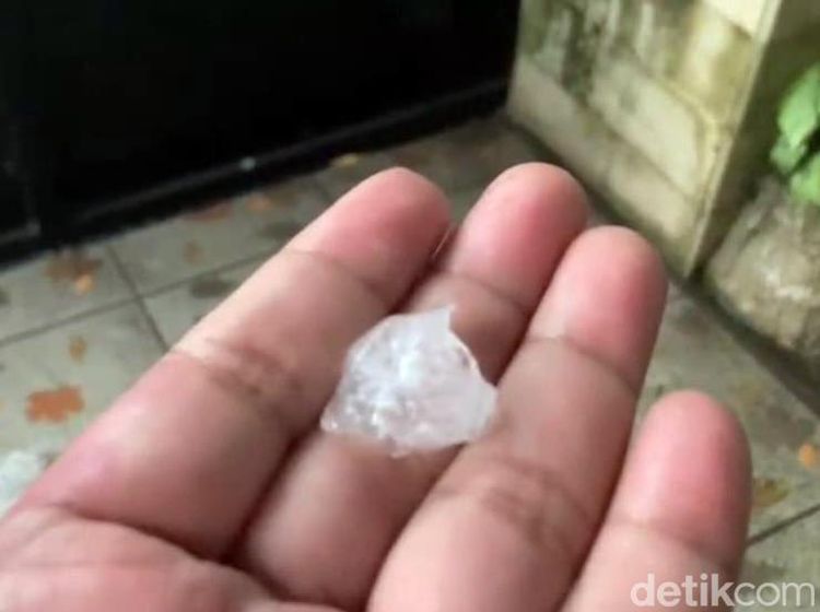 Hujan Es Disertai Angin Membuat Sejumlah Pohon Tumbang di Sidoarjo