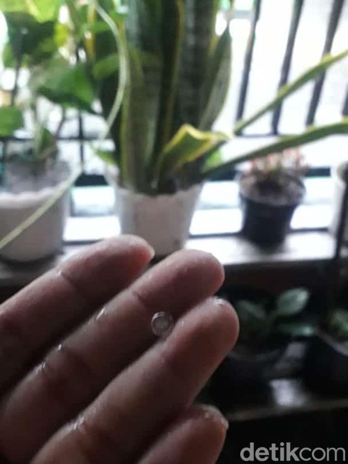 hujan es di sidoarjo