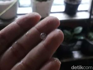 Klotak-klotak! Beberapa Kawasan Sidoarjo Terjadi Hujan Es