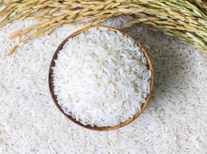 Tak Ada Impor Beras, Setoran Bea Masuk Turun 5,8%