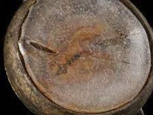 Selamat dari Ledakan Bom Atom Hiroshima, Jam Tangan Ini Dijual Rp 484 Miliar!