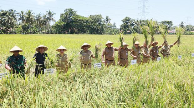 Foto: Dok. Pemprov Jateng