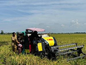 Panen Raya 9.116 Hektare Padi di Kudus, Pj Bupati: Untuk Ketahanan Pangan