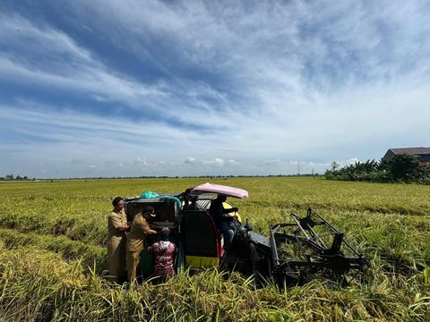 Penjabat (Pj) Bupati Kudus, Muhammad Hasan Chabibie meninjau proses panen padi di Desa Karangrowo, Kecamatan Undaan, Senin (26/2/2024).