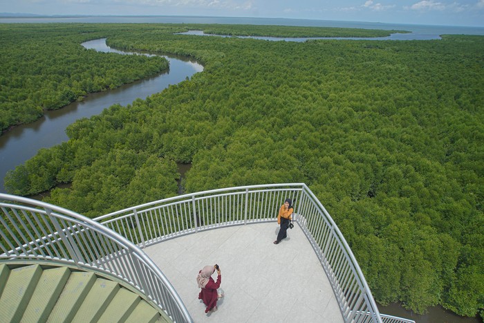 Pesona Tower Mangrove yang Jadi Landmark Baru Kota Langsa Sejumlah warga berwisata ke Tower Mangrove di tengah hutan mangrove Kuala Langsa di Kota Langsa, Aceh, Minggu (25/2/2024). Tower setinggi 45 meter itu menjadi landmark wisata baru Kota Langsa dengan daya tarik ekowisata, konservasi dan penelitian di hutang mangrove seluas 8.000 hektare tersebut. ANTARA FOTO/Khalis Surry/foc.