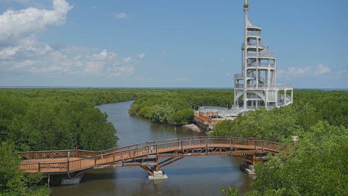 Pesona Tower Mangrove yang Jadi Landmark Baru Kota Langsa Sejumlah warga berwisata ke Tower Mangrove di tengah hutan mangrove Kuala Langsa di Kota Langsa, Aceh, Minggu (25/2/2024). Tower setinggi 45 meter itu menjadi landmark wisata baru Kota Langsa dengan daya tarik ekowisata, konservasi dan penelitian di hutang mangrove seluas 8.000 hektare tersebut. ANTARA FOTO/Khalis Surry/foc.