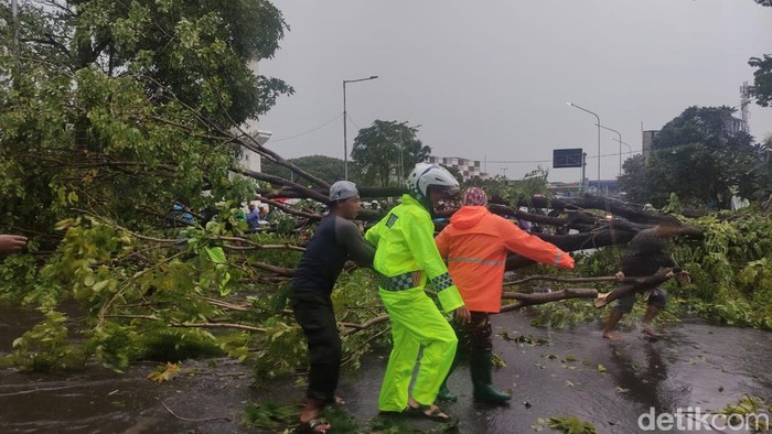 Pohon tumbang dan banjir di Sidoarjo.