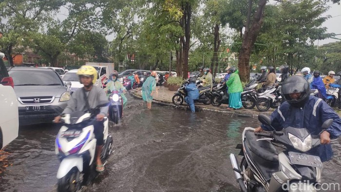 Pohon tumbang dan banjir di Sidoarjo.