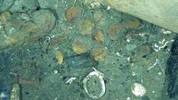 Gambar sonar sejauh ini mengungkapkan meriam perunggu yang dibuat khusus untuk kapal, senjata, keramik, dan artefak lainnya.  