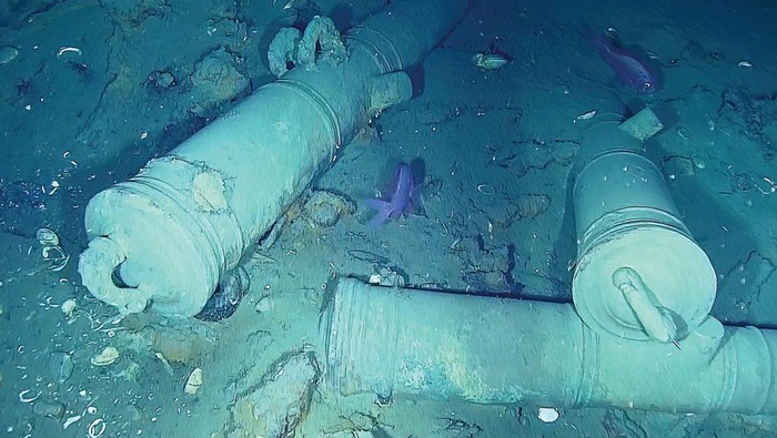 Porcelain cups that belong to the treasure of the Spanish galleon San Jose, sunk in 1708, lie at the bottom of the sea off Cartagena, Colombia May 10, 2022. Colombian Army/Handout via REUTERS THIS IMAGE HAS BEEN SUPPLIED BY A THIRD PARTY. NO RESALES NO ARCHIVES. MANDATORY CREDIT.