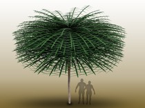 Begini Wujud Temuan Fosil Pohon 350 Juta Tahun yang Berbentuk Aneh dan Langka