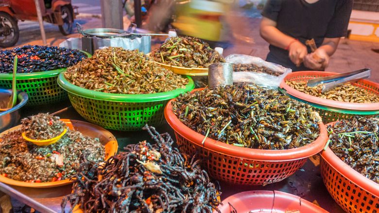 Wow!  YouTuber ini nekat mencicipi dendeng cacing tanah bahkan kutu busuk