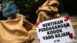 Aksi Pencinta Hewan Tolak Impor Kodok di Kedubes Prancis