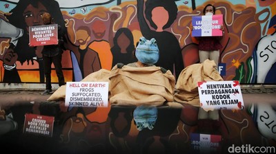 Aksi Pencinta Hewan Tolak Impor Kodok di Kedubes Prancis