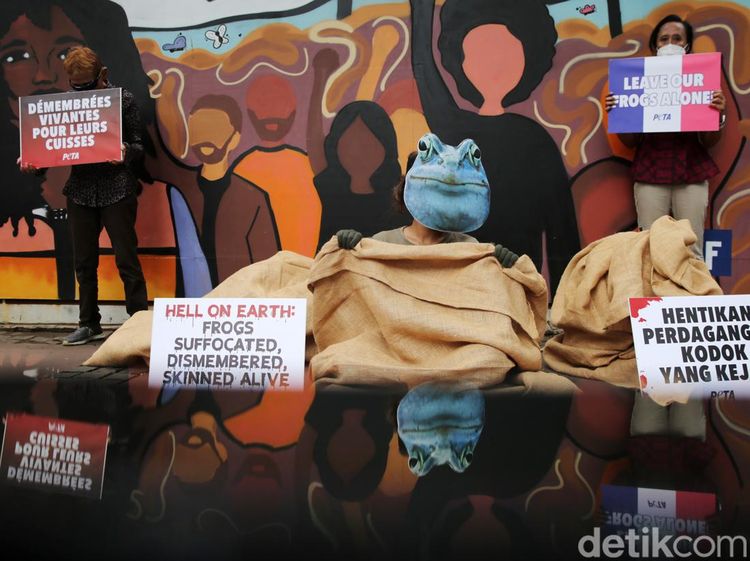Aksi Pencinta Hewan Tolak Impor Kodok di Kedubes Prancis