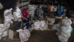 Potret Penambang Berburu Emas di Tanah Obi