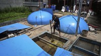 Kotoran ternak itu ditampung kemudian masuk ke tangki biodigester. Di tangki inilah energi dari kotoran sapi diproduksi. Ada biodigester untuk feses dan ada yang untuk urine sapi. 