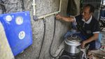 Bye LPG, Peternak Ini Manfaatkan Kotoran Sapi Jadi Biogas buat Masak