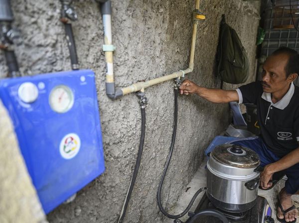 Bye LPG, Peternak Ini Manfaatkan Kotoran Sapi Jadi Biogas buat Masak
