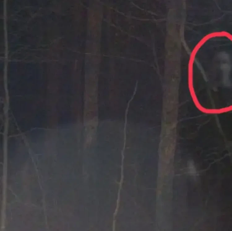 Foto Penampakan Hantu Bikin Takut