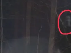 Foto Diduga Hantu yang Terabadikan Kamera, Bikin Takut Melihatnya