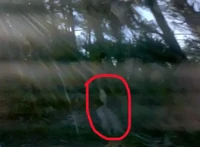 Foto Penampakan Hantu Bikin Takut