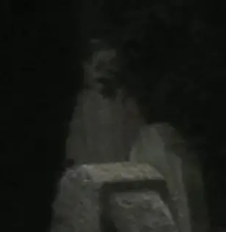 Foto Penampakan Hantu Bikin Takut