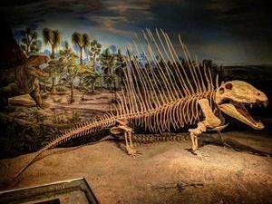 Sang Penguasa Sebelum Dinosaurus