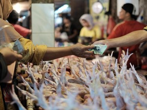 Harga Sembako Jatim Hari Ini, Ayam Kampung Turun, Daging Sapi Naik