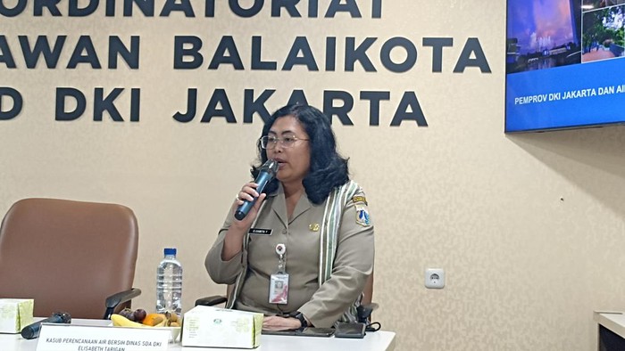 Ketua Subkelompok Perencanaan Bidang Geologi, Konservasi Air Baku dan Penyediaan Air Bersih Dinas Sumber Daya Air DKI Jakarta Elisabeth Tarigan