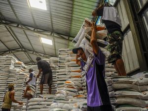 Ombudsman Minta Bulog Percepat Bongkar Muat Beras: Harus Investasi Teknologi