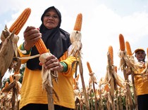 Bioteknologi: Pengertian, Sejarah, Konsep, dan Contohnya