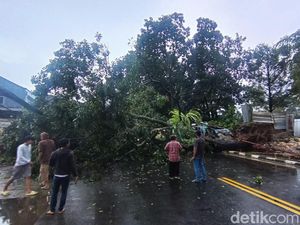 11 Bencana Melanda Kota Bogor dalam Sehari: Pohon Tumbang-Tanah Longsor