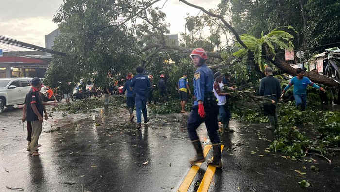 Pohon tumbang di jalan raya Ciawi-Gadog