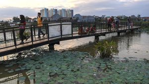 Potret Lahan Basah di Jakarta Utara Diubah Jadi Ruang Terbuka Hijau