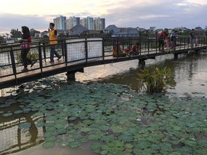 Potret Lahan Basah di Jakarta Utara Diubah Jadi Ruang Terbuka Hijau