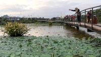 Dinas Pertamanan dan Hutan Kota Pemprov DKI Jakarta memanfaatkan lahan basah dengan luas sekitar 8.000 meter persegi tersebut untuk meminimalisir bencana banjir, sebagai biodiversitas bagi satwa liar dan dilengkapi dengan jalur pejalan kaki.