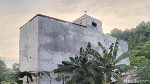 Sarang burung walet milik warga Kota Bima, NTB yang mulai tahun 2024 wajib kantongi izin dan membayar pajak 10%, Selasa, (27/2/2024). (Dok. Rafiin/detikBali)