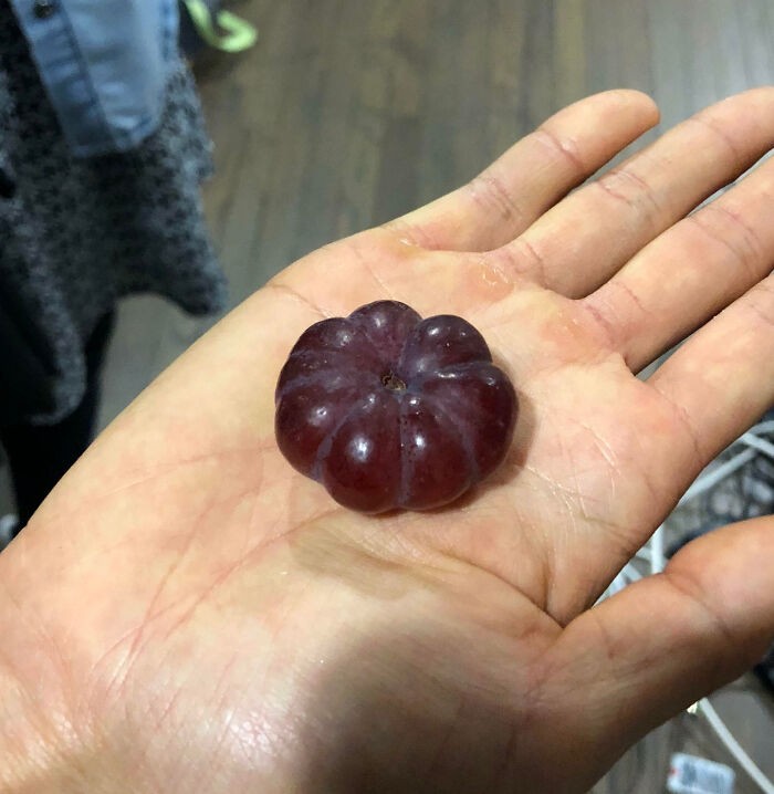10 Buah dan Sayur 'Monster' dengan Tampilan Menakjubkan 10 Buah dan Sayur 'Monster' dengan Tampilan Menakjubkan