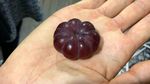 10 Buah dan Sayur Monster dengan Tampilan Menakjubkan