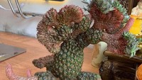 Nanas ini punya bentuk tidak normal karena masalah genetik atau terpapar bakteri dan virus. Bentuknya jauh dari nanas asli. Foto: Bored Panda