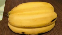 Pisang ini menyatu dan disebut punya rasa hambar. Temuan pisang ini juga mencuri perhatian. Foto: Bored Panda