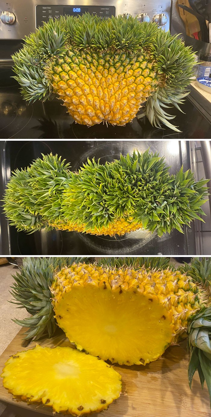 10 Buah dan Sayur 'Monster' dengan Tampilan Menakjubkan