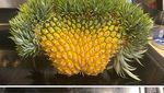 10 Buah dan Sayur Monster dengan Tampilan Menakjubkan