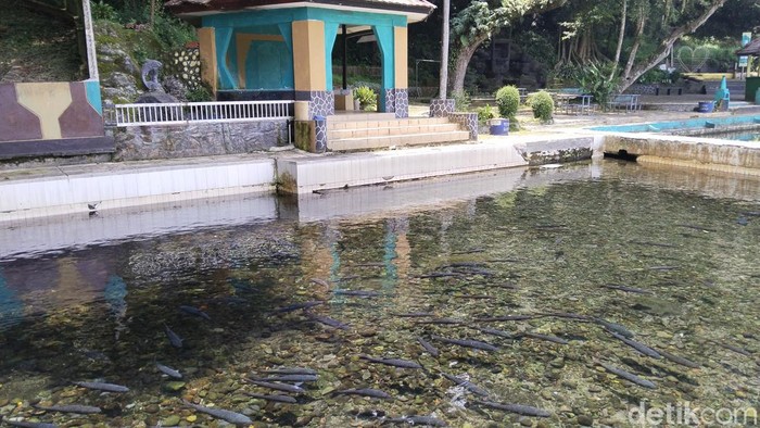 Balong Cigugur Kuningan