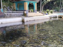 Menguak Asal-usul dan Mitos Balong Cigugur Kuningan